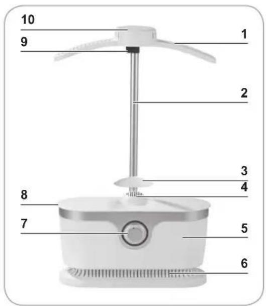 EasyMaxx 00384 - BEACHTEN! - 1