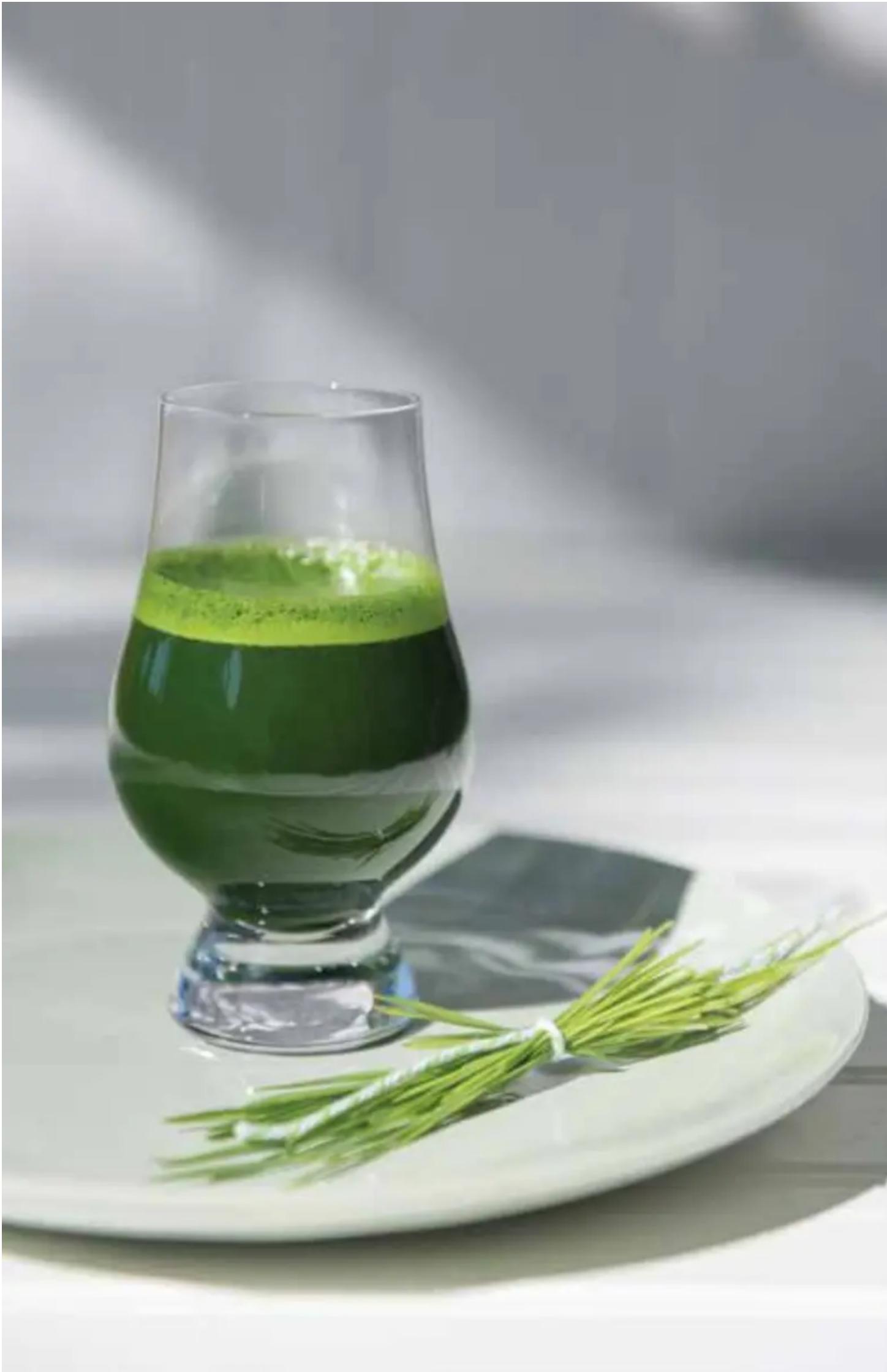 OMEGA JC3000 - Les bienfaits de l'extraction de jus - 2
