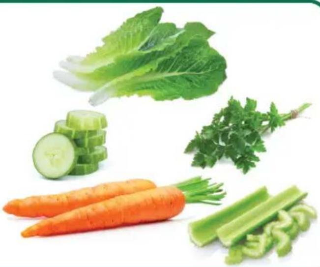 OMEGA H3000 - Leaves Romaine Lettuce. - 1