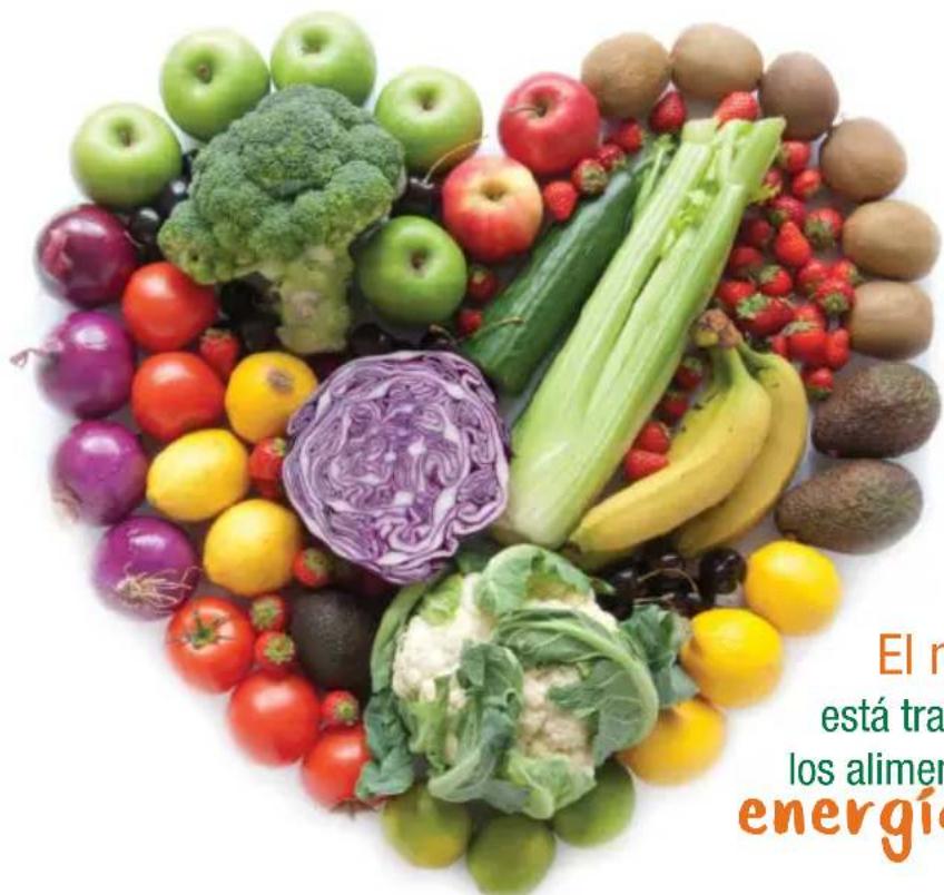 OMEGA H3000R - beneficios de beber juegos - 1