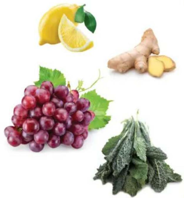 OMEGA H3000R - Prepare and juice - 1