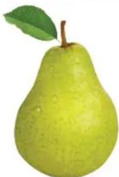 OMEGA H3000R - Poignées d'épinards. - 1