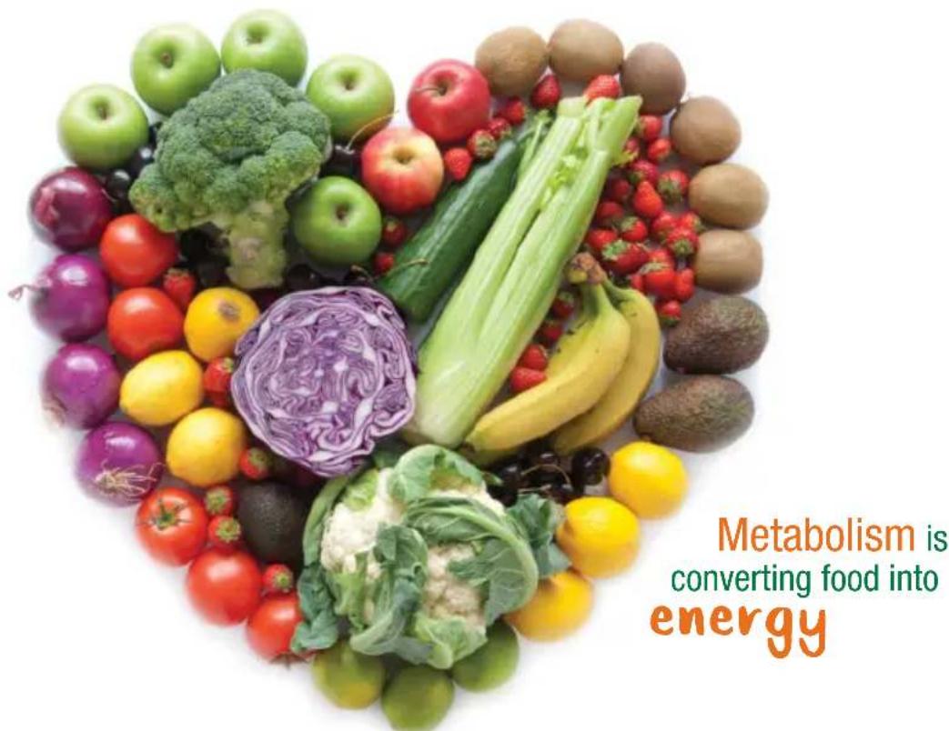 OMEGA H3000R - benefits of juicing - 1