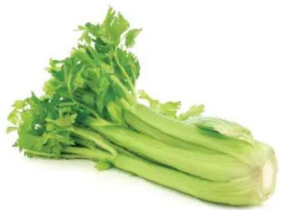 OMEGA H3000R - Jus de céleri 365 - 1