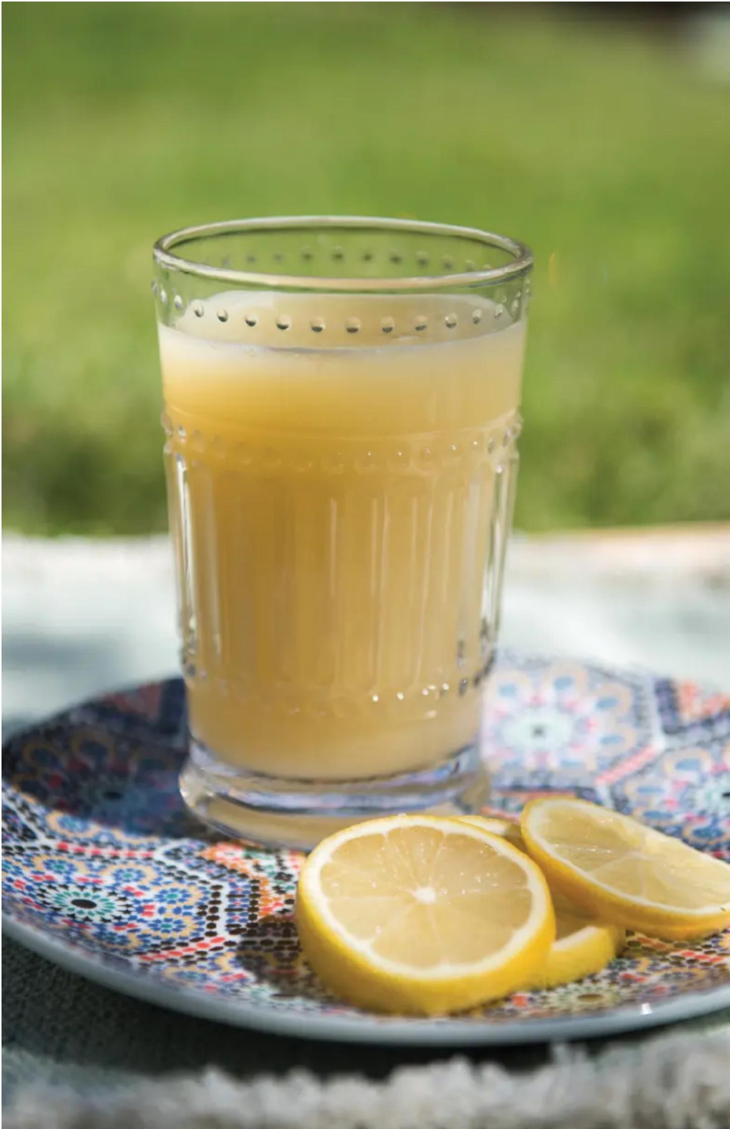 OMEGA H3000R - Préparer et extraire le jus - 2