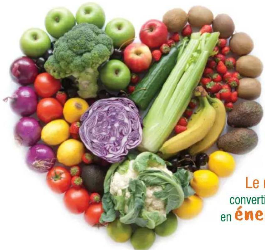 OMEGA H3000R - Les bienfaits de l'extraction de jus - 1