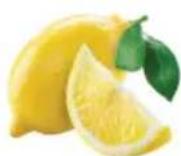 OMEGA H3000R - Poignées d'épinards. - 2