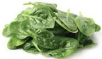 OMEGA H3000R - Prepare and juice - 4