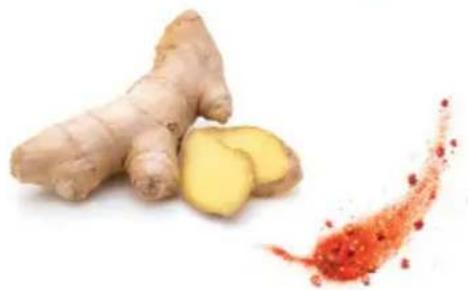 OMEGA H3000R - La sal de la vida - 2