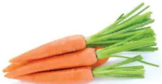 OMEGA H3000R - Fire Fighter - 1