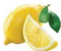 OMEGA H3000R - Prepare and juice - 2