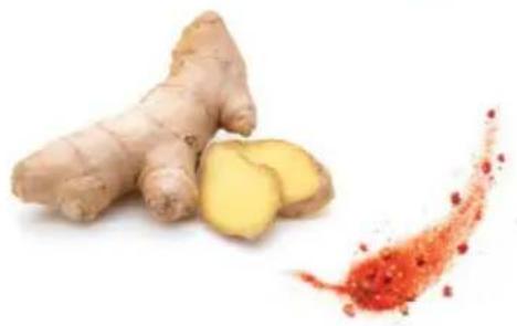 OMEGA H3000R - Le piment dans la vie - 2