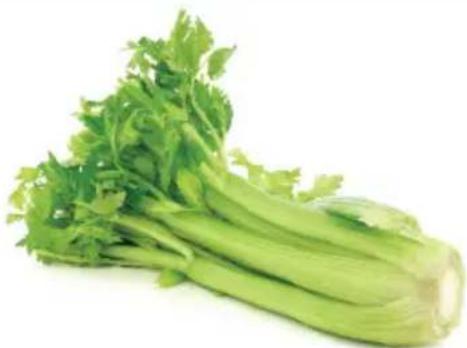 OMEGA H3000R - Tête de céleri. - 1