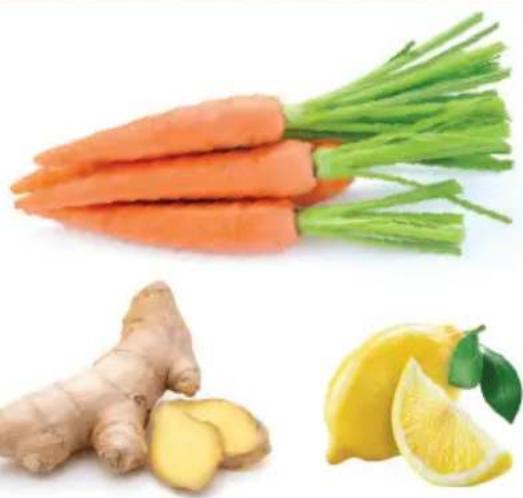 OMEGA H3000R - Prepara y extrae el jugo - 1