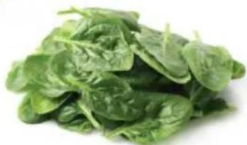 OMEGA H3000R - Poignées d'épinards. - 3