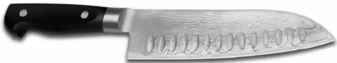 Chef's Choice Diamond Hone AngleSelect 1520 - SHARPeNING The CoNTemPoRARY ASIAN KNIfe oR oTHeR DoUBLe-fACeTeD eDGe AT 15 DeGReeS (30° TO TAL) - 1