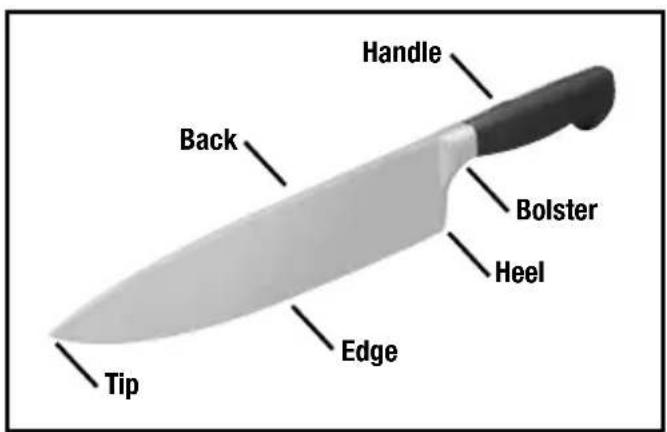 Handle Back Bolster Heel Edge Tip