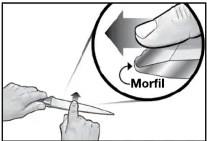 Morfil