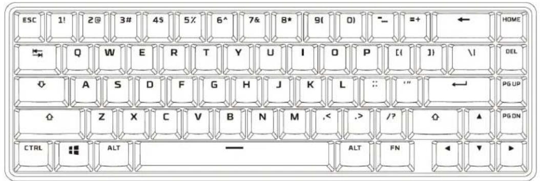 HYPERX Alloy Origins 65 - Visión general - 1