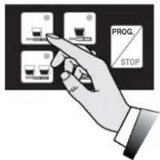 ASTORIA AEP - PROGRAMACIÓN - 2