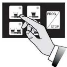 ASTORIA AEP - PROGRAMMING - 3