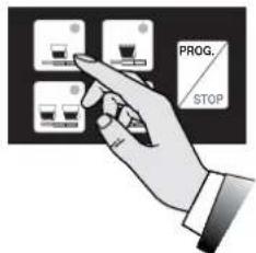 ASTORIA AEP - PROGRAMMING - 3