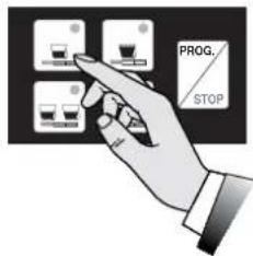 ASTORIA AEP - PROGRAMMATION - 2