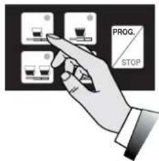 ASTORIA AEP - PROGRAMAÇÃO - 2