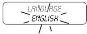 ASTORIA Gloria SAE - LANGUAGE programming - 1
