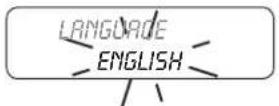 ASTORIA Gloria SAE - LANGUAGE programming - 1