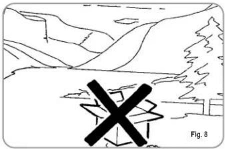 NUOVA SIMONELLI Appia 1 Group - CAUTION RISK OF POLLUTION - 2