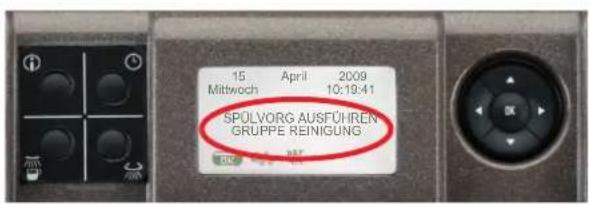 La Cimbali S39 Dolcevita - Gruppe Reinigung mit Reinigungstabletten - 1