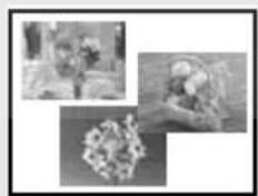 Para disfrutar imprimiendo imágenes de su ordinador 4