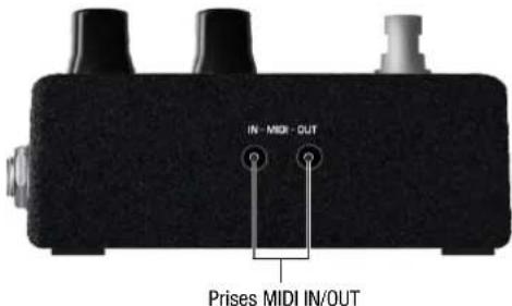NUX Tape Echo NDD7 - Écran OLED - 3