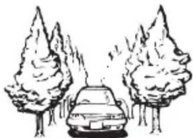 PIONEER AVICZ1000DAB - Lors de la conduite à travers une forêt dense ou des arbres hauts - 1