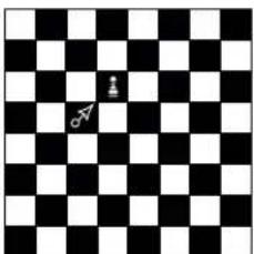 Playtive HG05262 - Moving the chess pieces: - 7