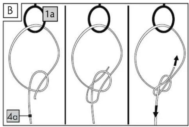 Playtive HG03628 - SARKAN - 6