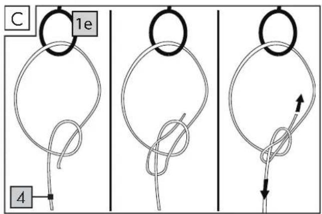 Playtive HG03628 - SARKAN - 4