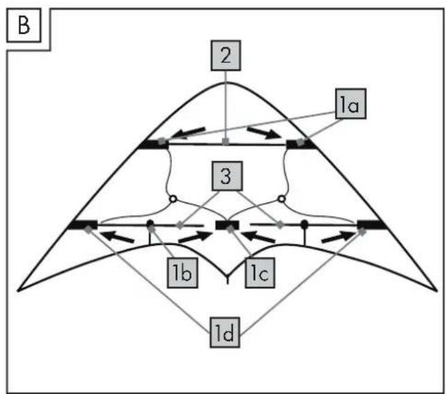 Playtive HG03628 - SARKAN - 3
