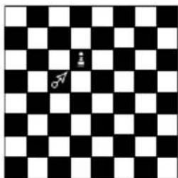 Playtive HG06396 - Moving the chess pieces: - 7