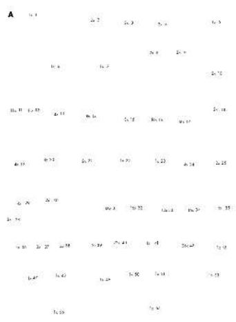 Playtive IAN 306207 - 4