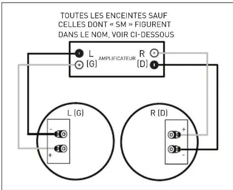 Paradigm CI Pro P3 LCR v2 - Raccordement des enceintes - 1