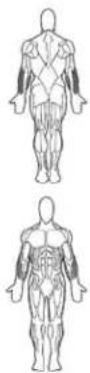 BOWFLEX Xceed - Points clé : - 1