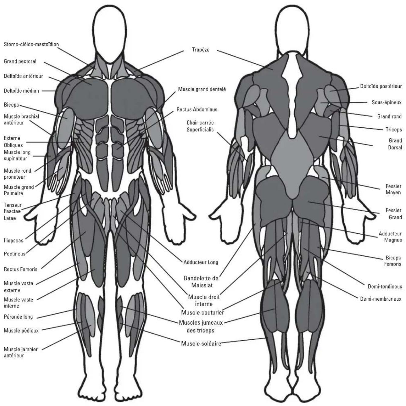 BOWFLEX Xceed - Points clé : - 5
