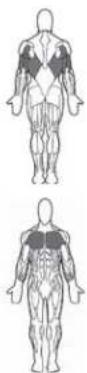 BOWFLEX Xceed - Points clé : - 1