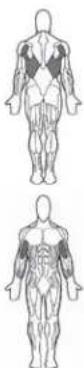 BOWFLEX Xceed - Points clé : - 1