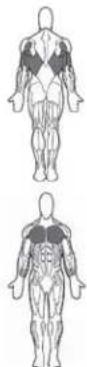 BOWFLEX Xceed - Points clé : - 1