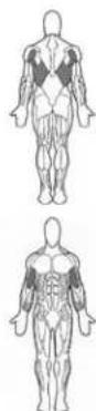 BOWFLEX Xceed - Points clé : - 1