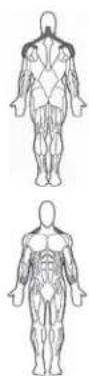 BOWFLEX Xceed - Points clé : - 1