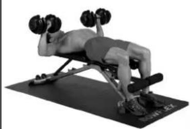 BOWFLEX SelectTech BD1090i - Position du banc - 1